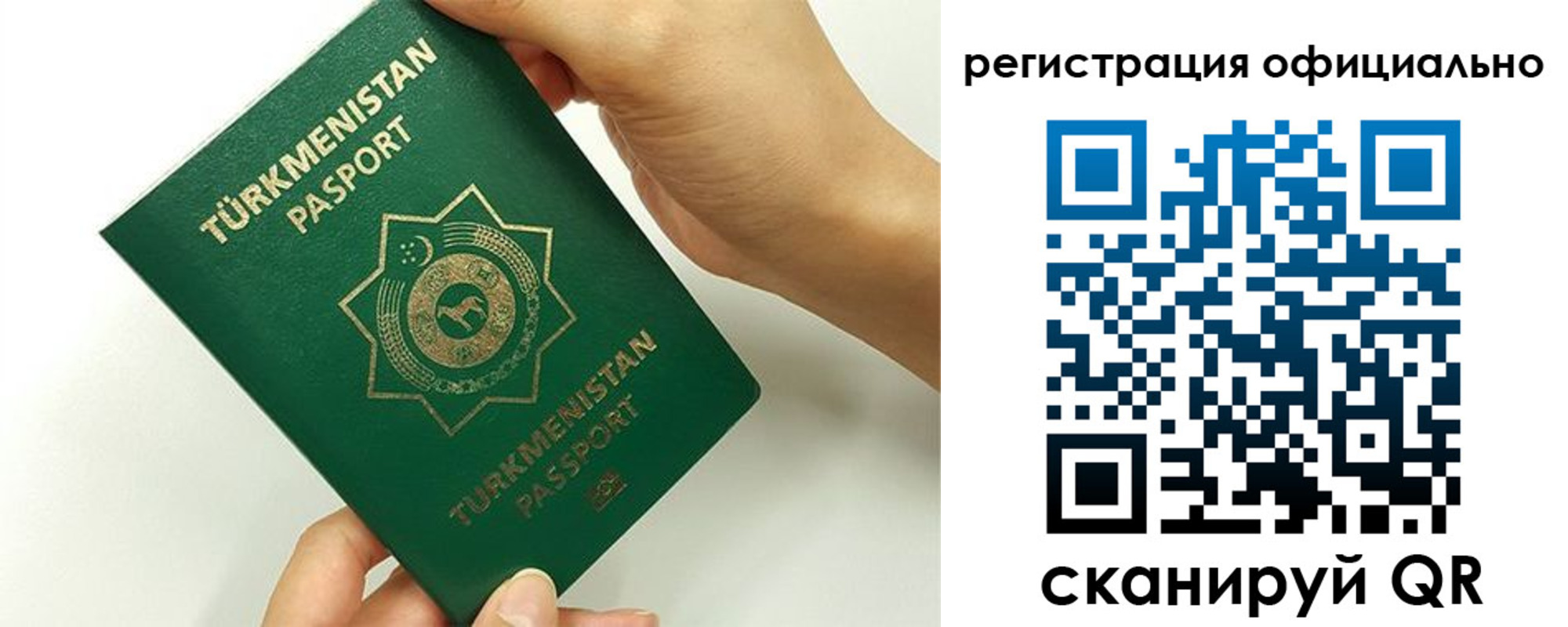 прописка поиск в Апатитах