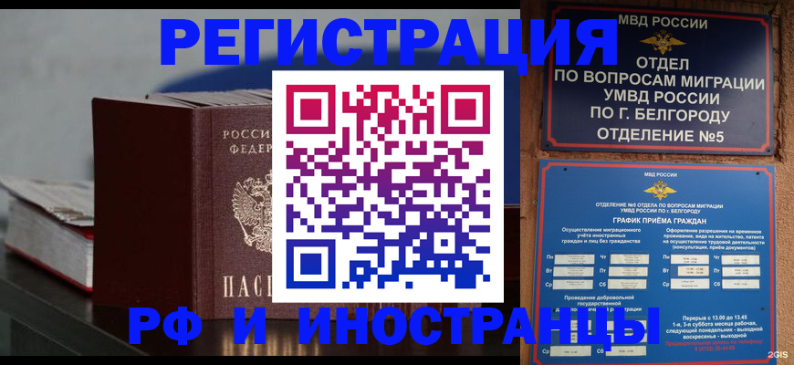 прописка 2025 в Апатитах